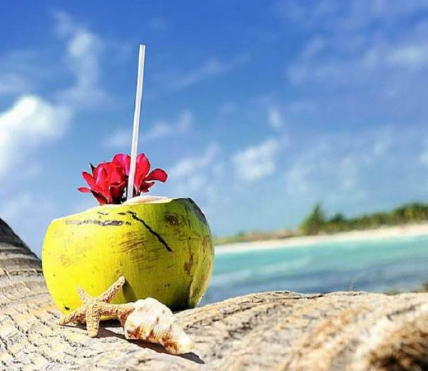 In Hawaii & Tahiti können wir Urlauber eine Kokusnuss in der Sonne mit Strohhalm genießen.  